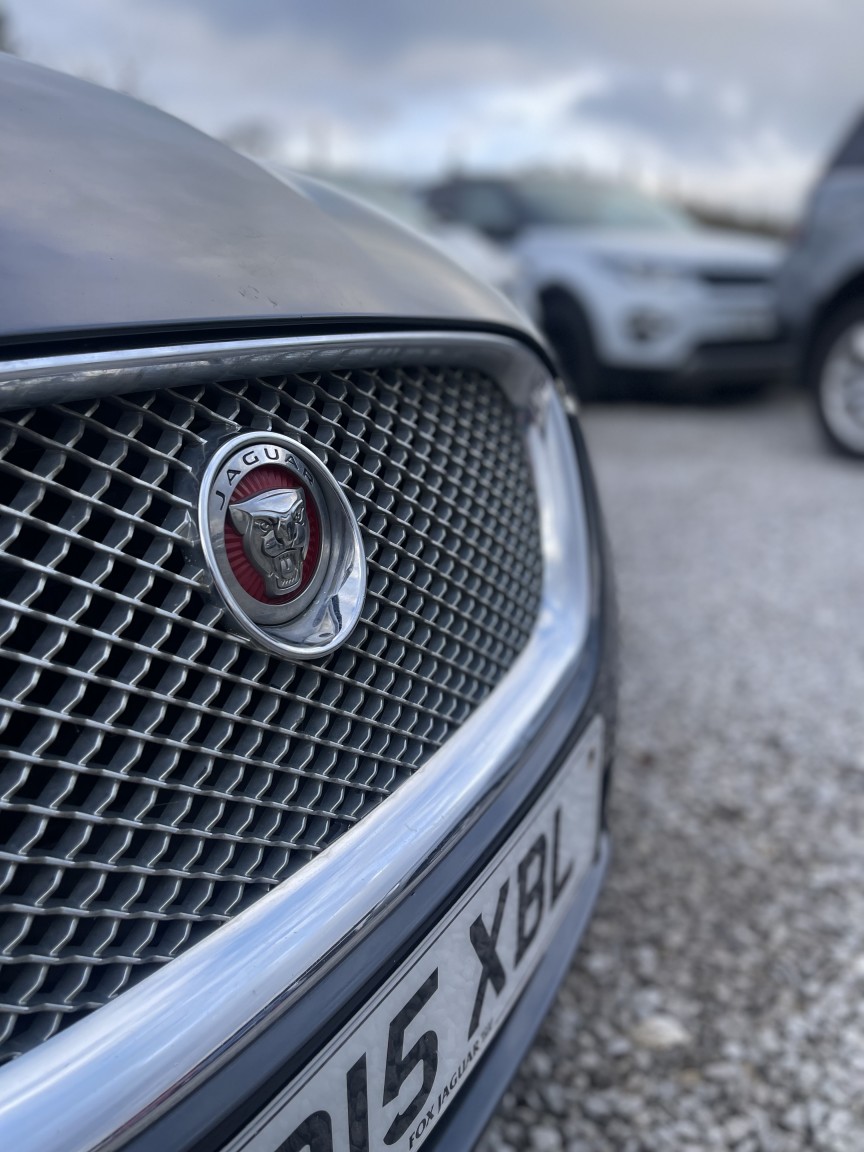 Used Jaguar XF 2015 for sale - 77508424: Photo 10