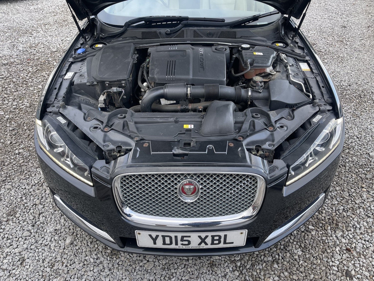 Used Jaguar XF 2015 for sale - 77508424: Photo 26