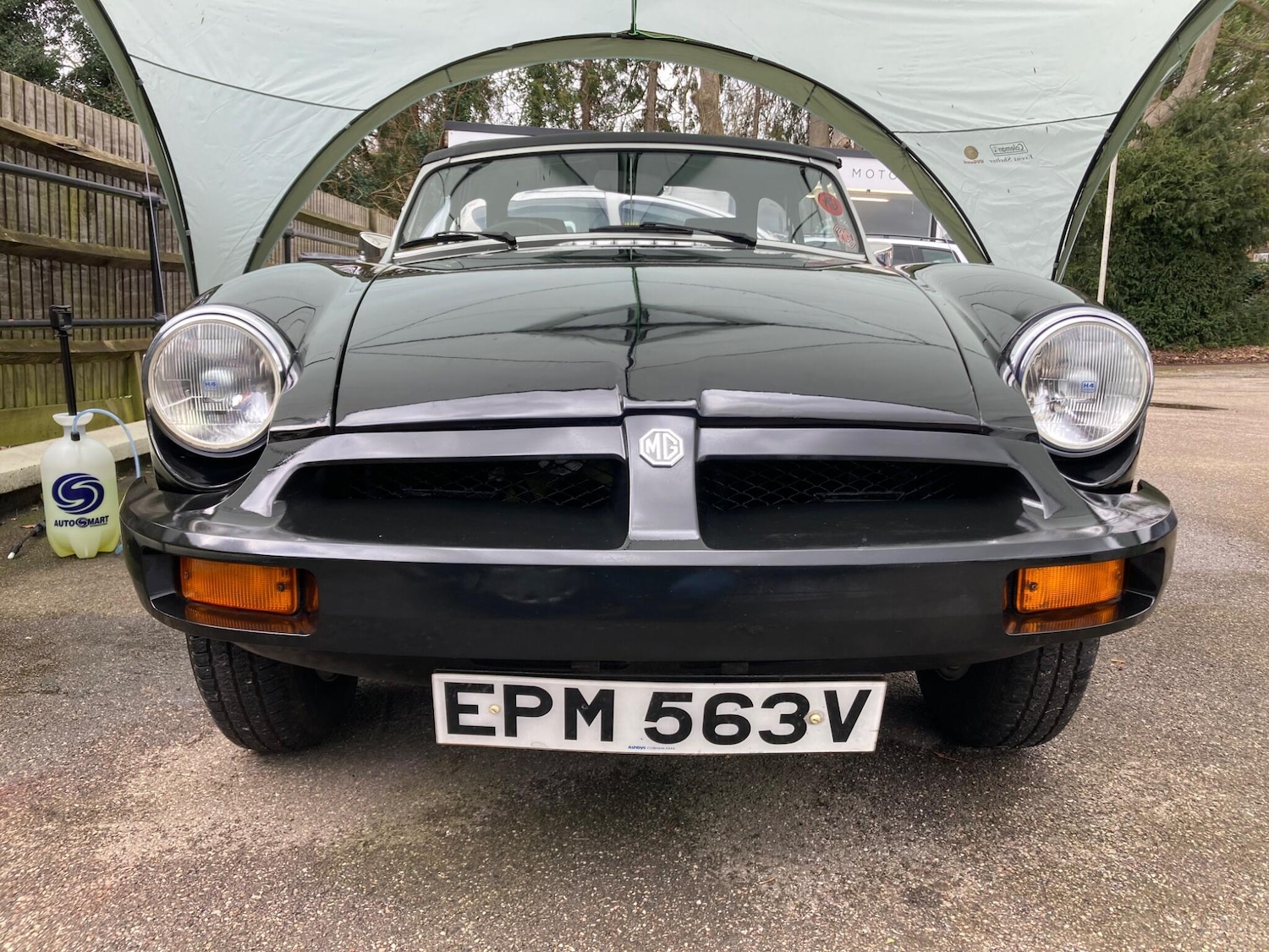 Used MG MGB 1979 for sale - 77255580: Photo 3