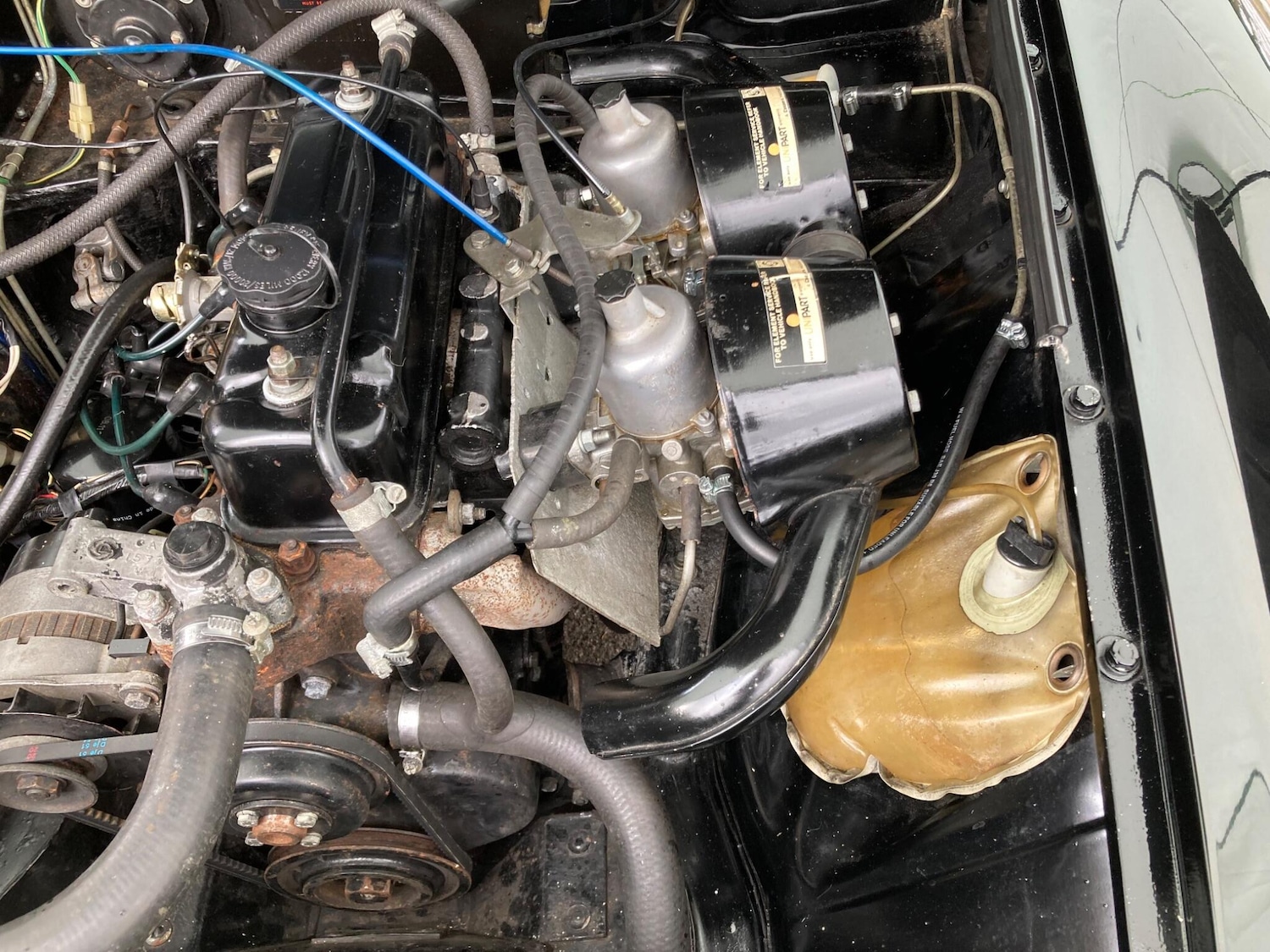 Used MG MGB 1979 for sale - 77255580: Photo 53