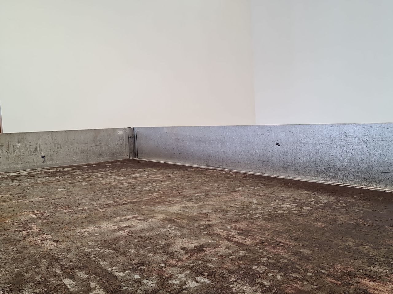 Used Iveco Daily 2022 for sale - 77729174: Photo 16