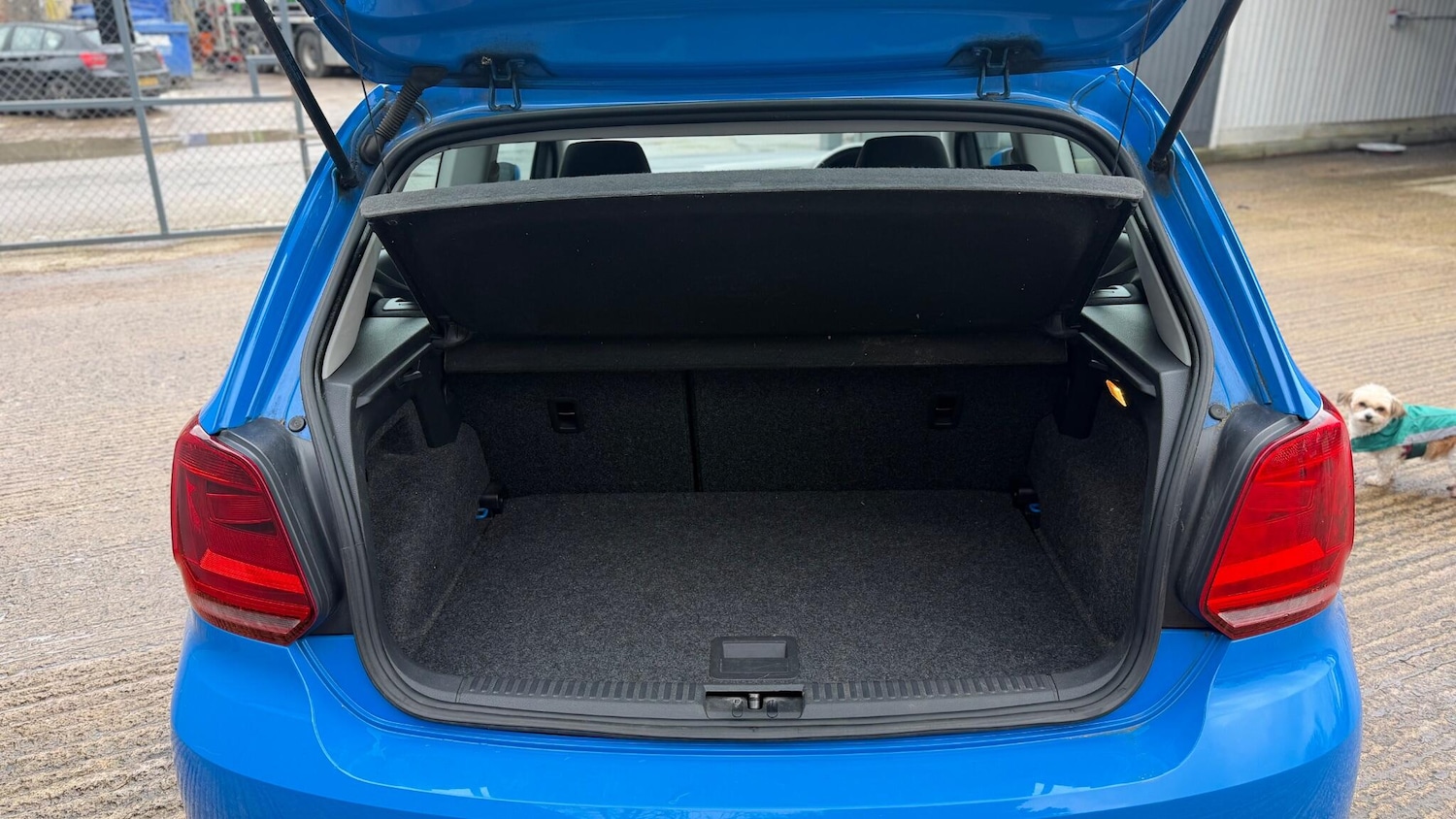 Used Volkswagen Polo for sale - 77883503: Photo 14