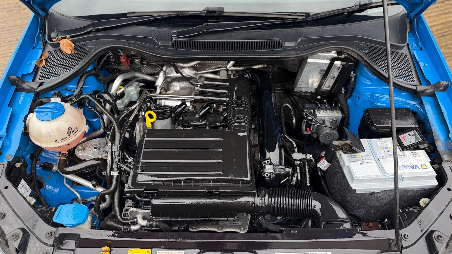 Used Volkswagen Polo for sale - 77883503: Photo 17