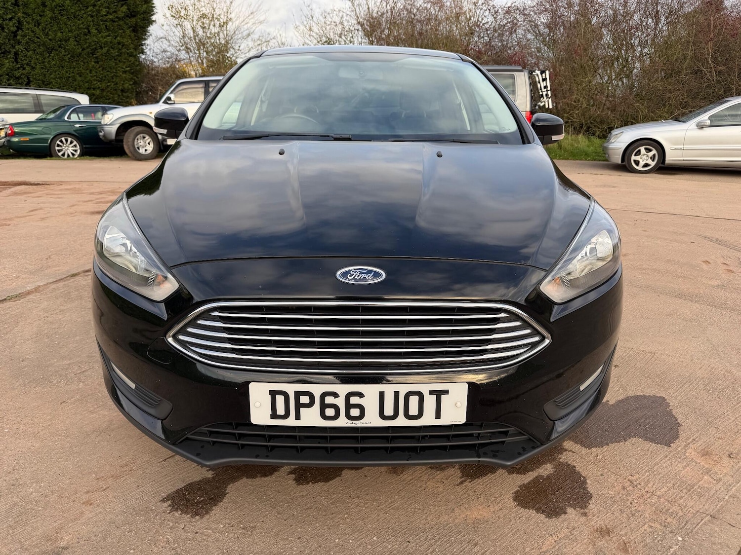 Used Ford Focus 2016 for sale - 76634002: Photo 10