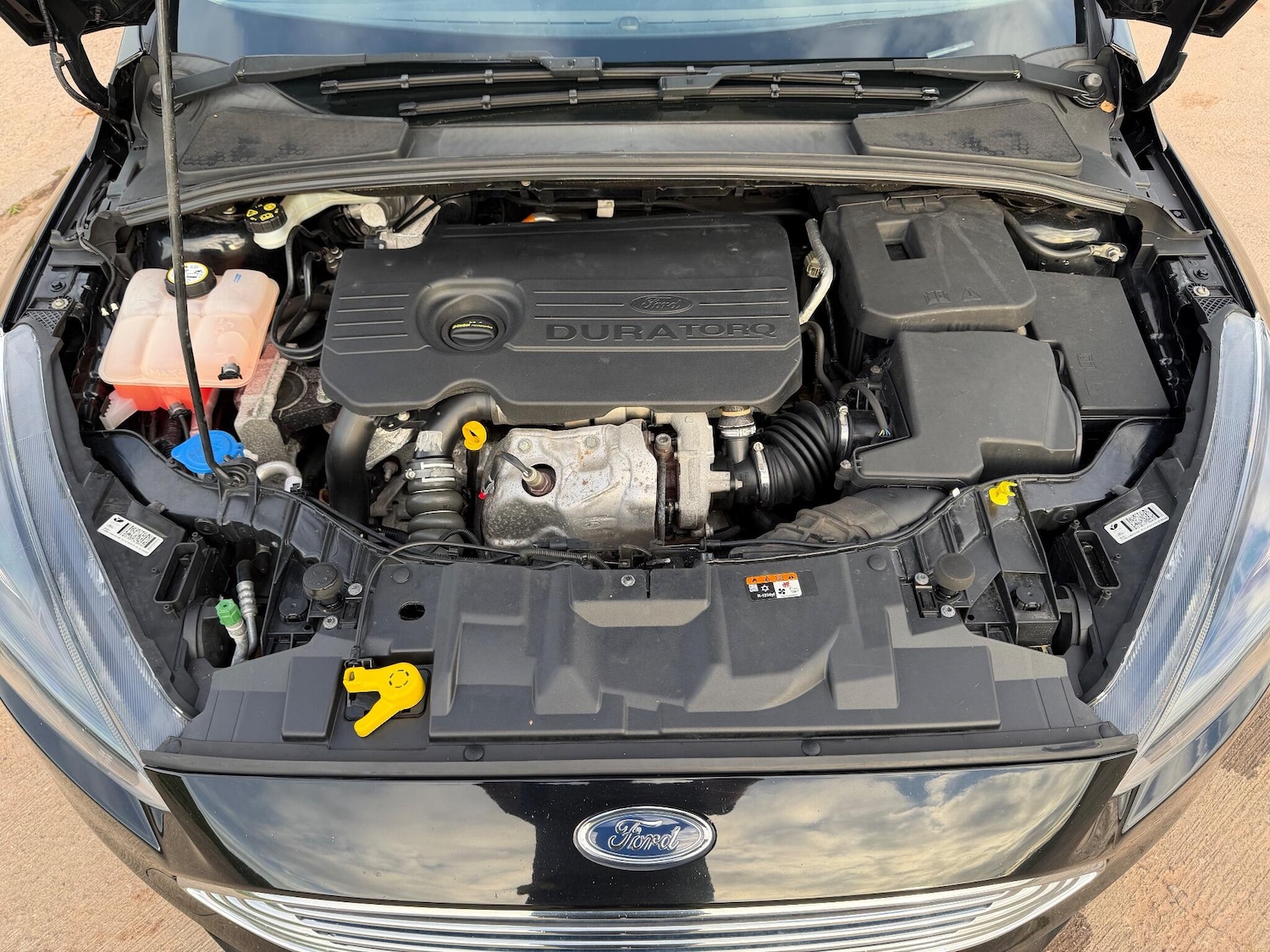 Used Ford Focus 2016 for sale - 76634002: Photo 11