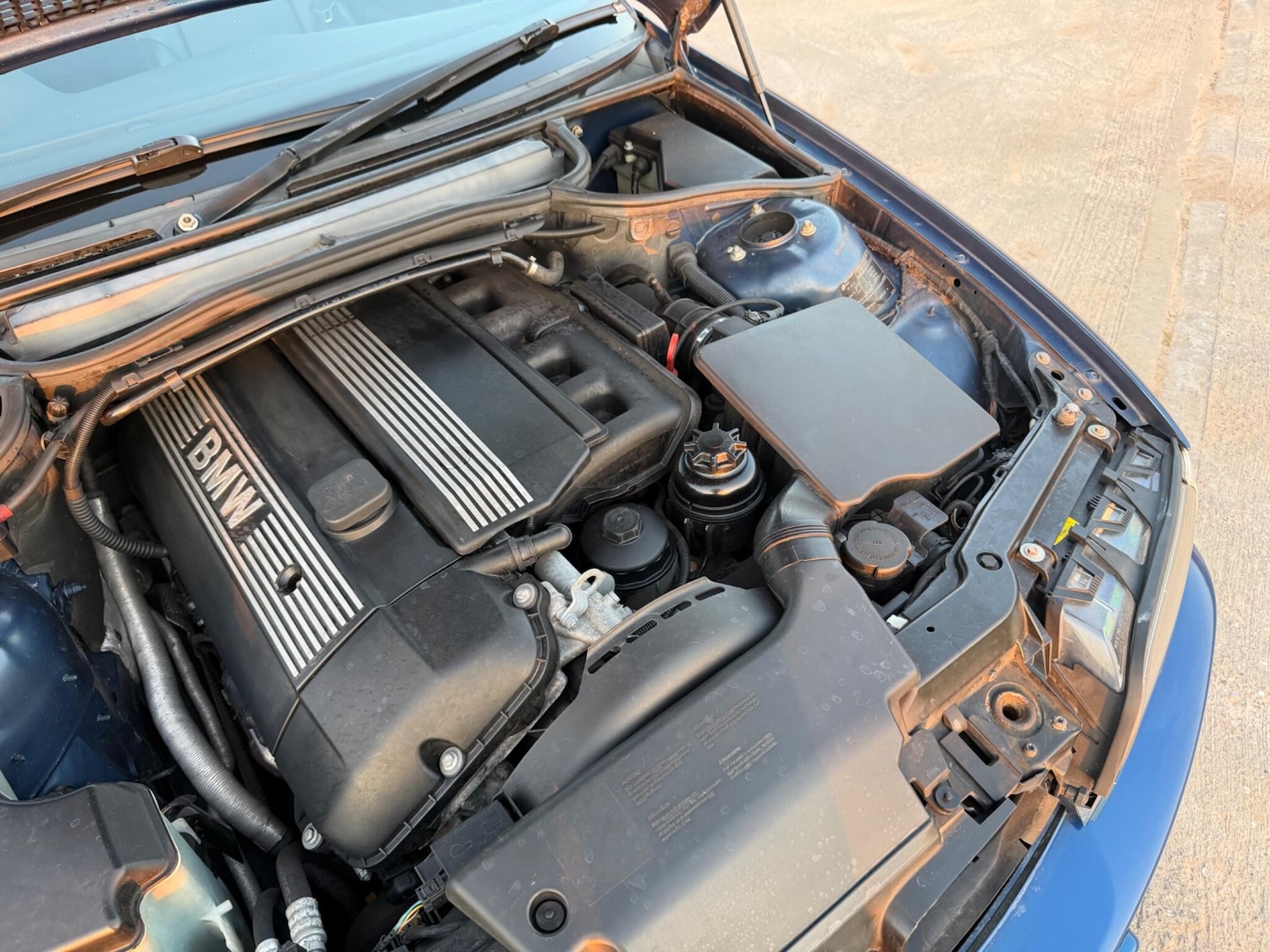 Used BMW 3 Series for sale - 77754245: Photo 44