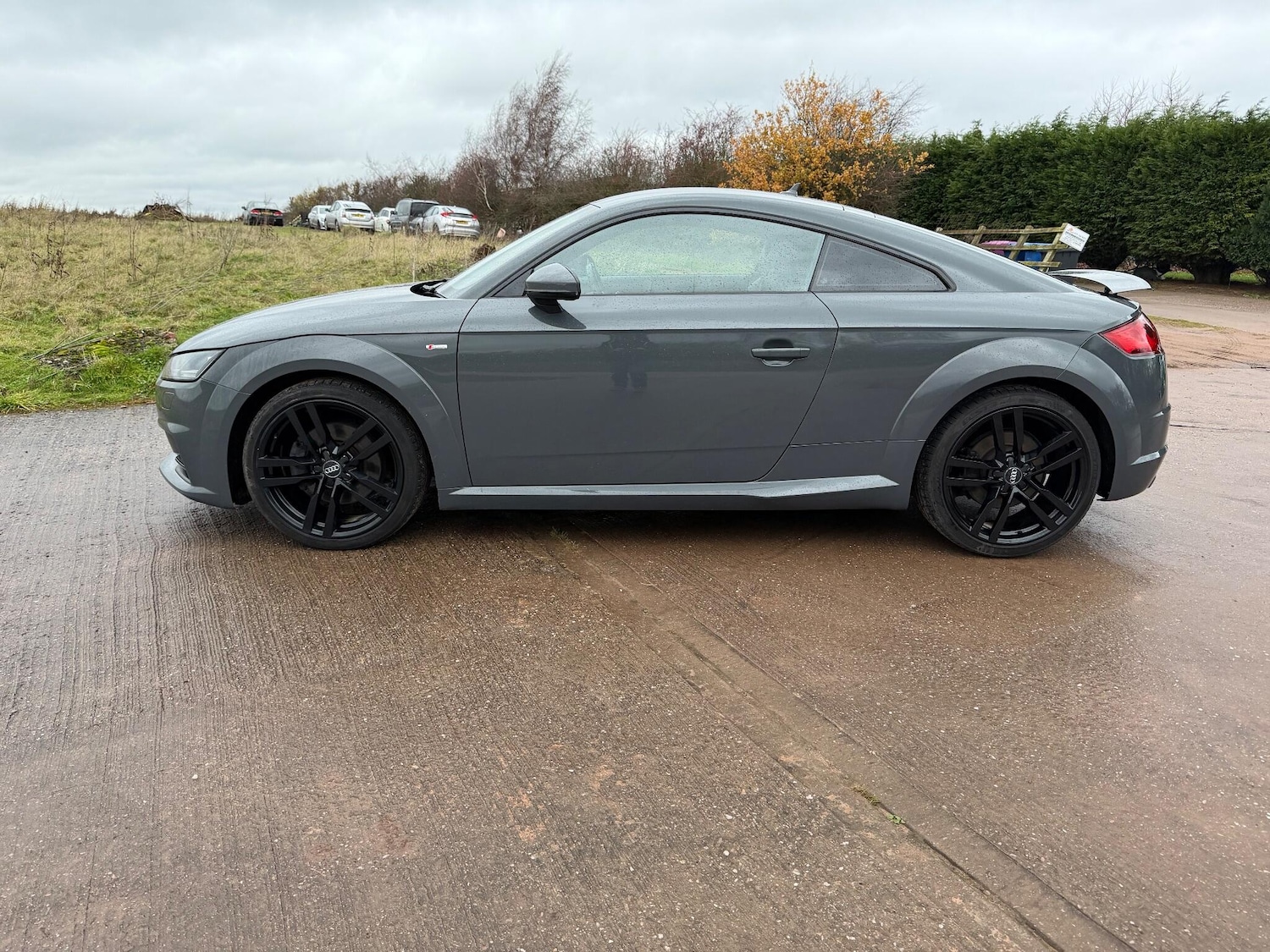 Used Audi TT 2017 for sale - 76772204: Photo 20
