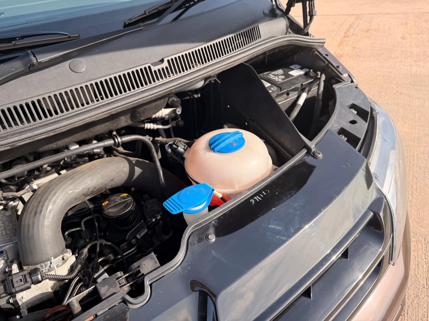 Used Volkswagen Caravelle for sale - 77671294: Photo 47