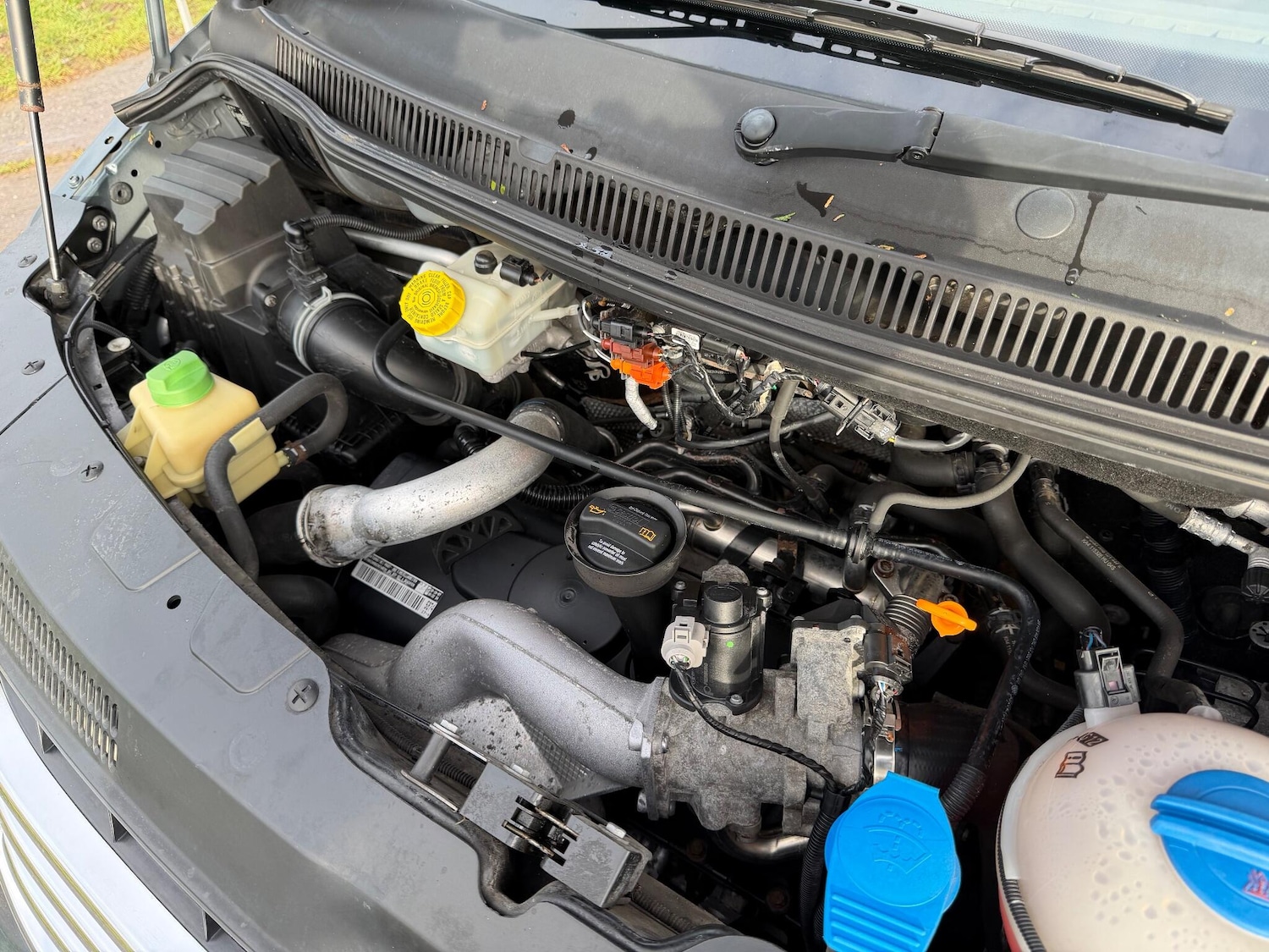 Used Volkswagen California 2008 for sale - 76866003: Photo 61