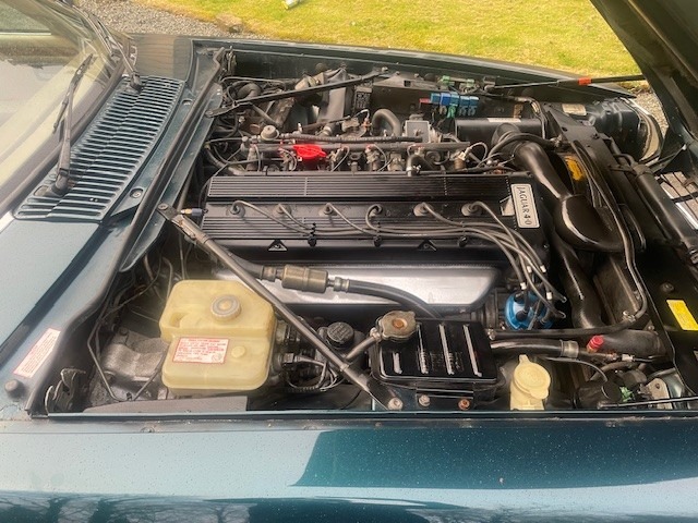 Used Jaguar XJS 1993 for sale - 78043152: Photo 11