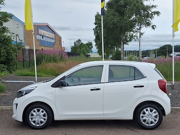Used Kia Picanto 2023 for sale - 79139378: Photo