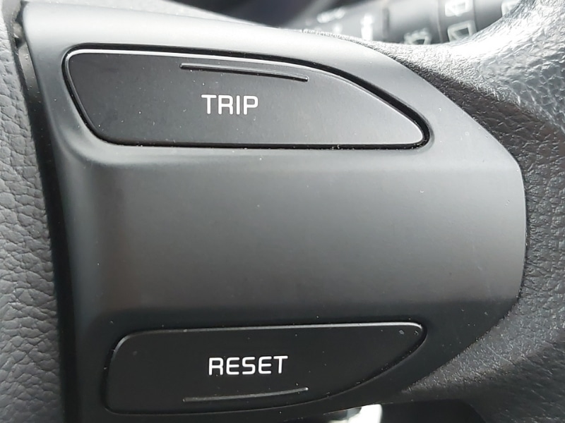 Used Kia Picanto 2023 for sale - 76418820: Photo 17