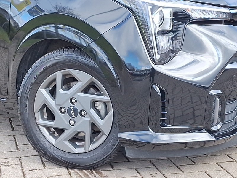 Used Kia Picanto 2025 for sale - 77873896: Photo 9