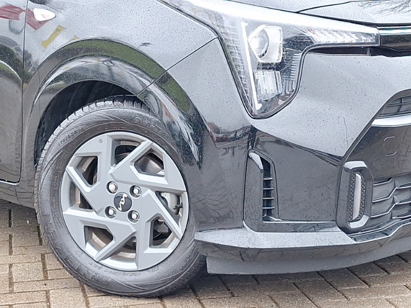 Used Kia Picanto 2025 for sale - 77466617: Photo 9