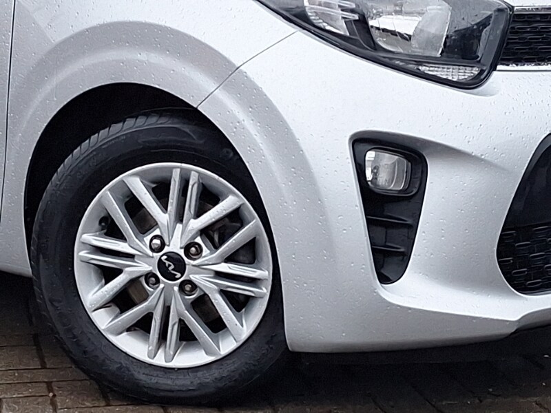 Used Kia Picanto 2024 for sale - 77338235: Photo 9