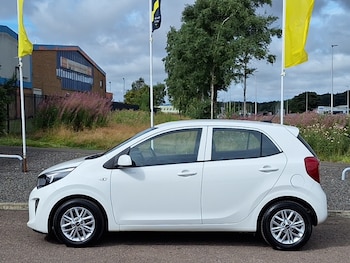 Used Kia Picanto 2023 for sale - 79498541: Photo