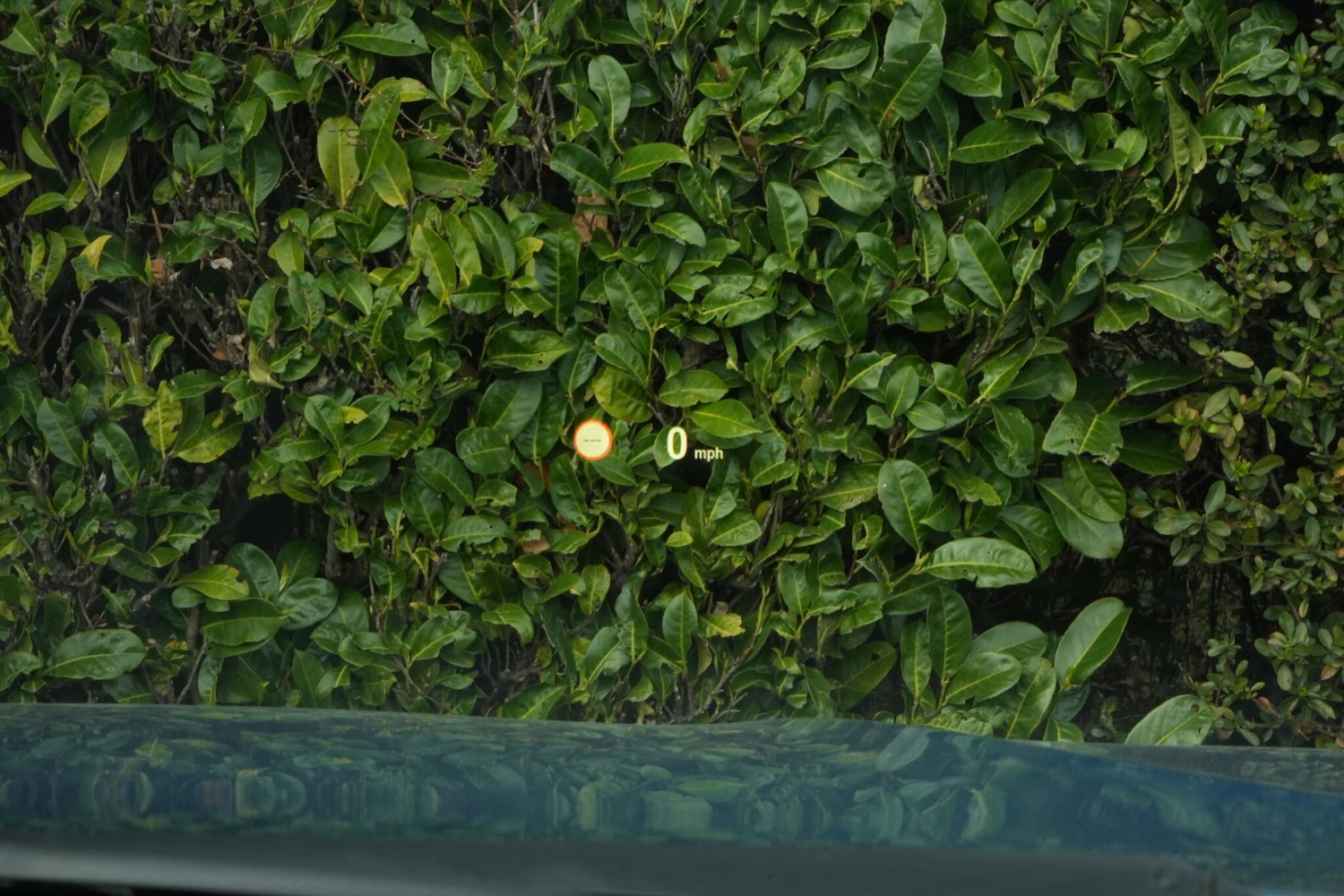 Used BMW X6 2018 for sale - 77993034: Photo 10