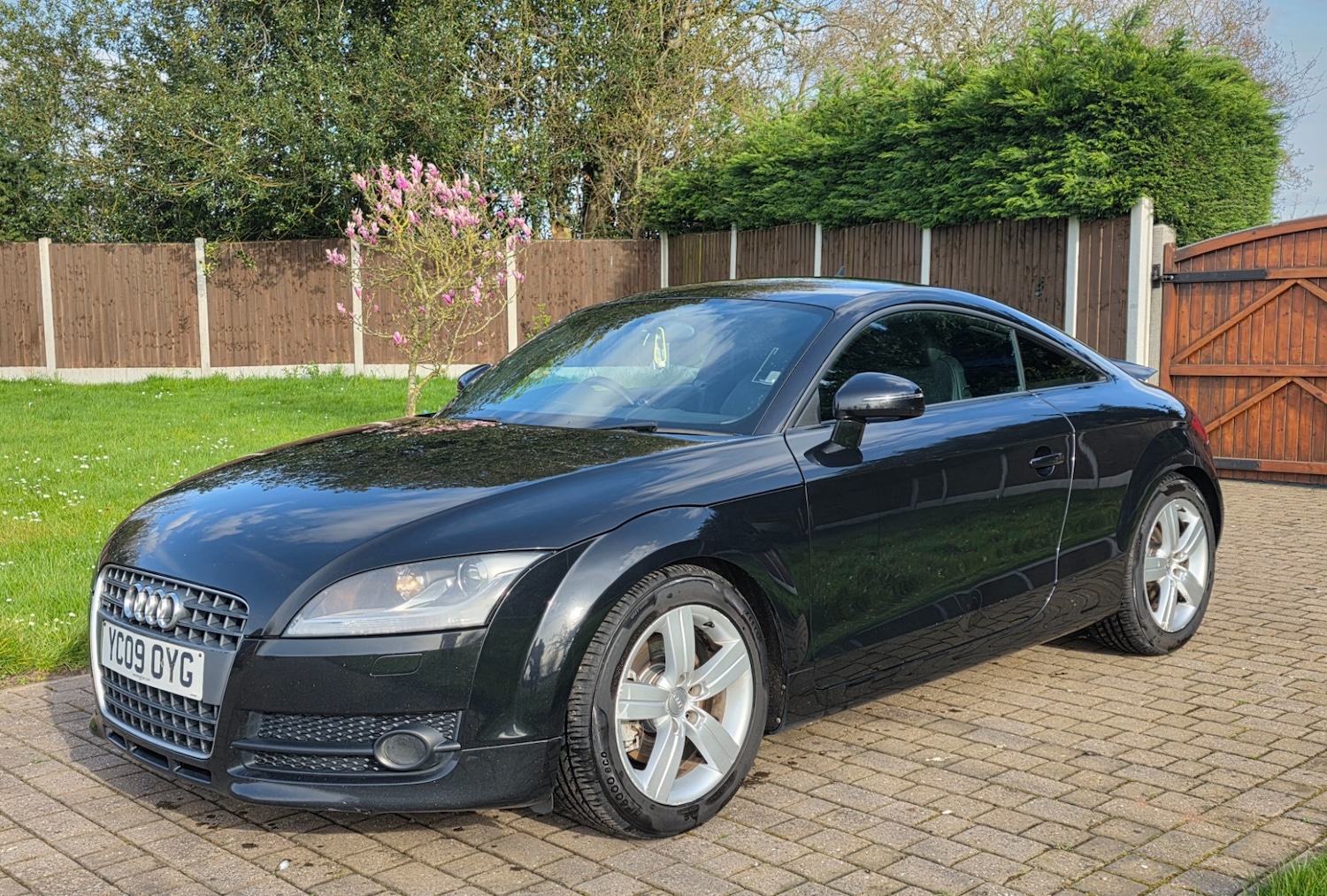 Used Audi TT 2009 for sale - 78136453: Photo 2