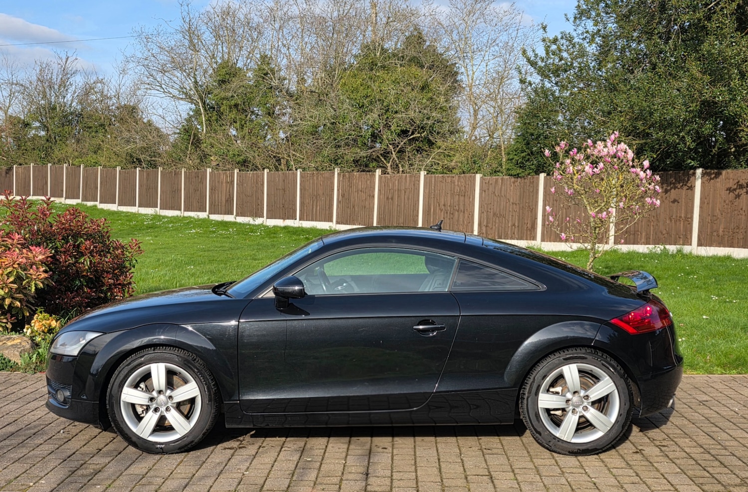 Used Audi TT 2009 for sale - 78136453: Photo 3