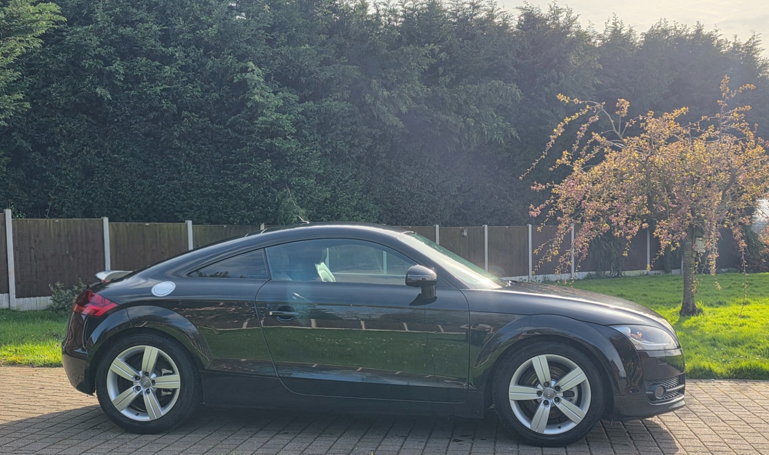 Used Audi TT 2009 for sale - 78136453: Photo 9