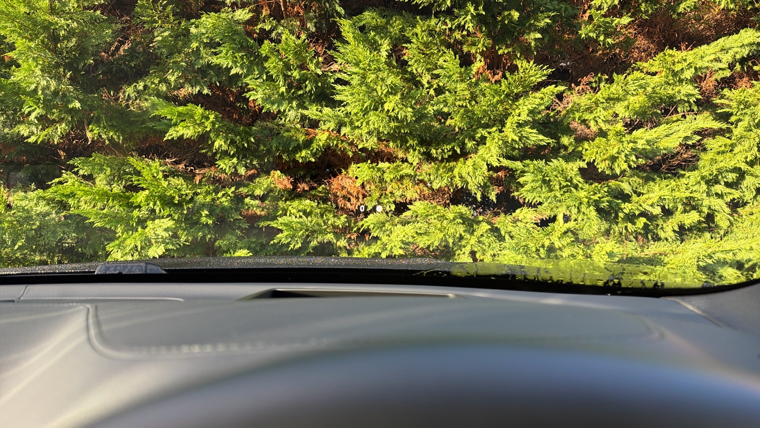 Used Volvo XC60 2025 for sale - 77113263: Photo 36