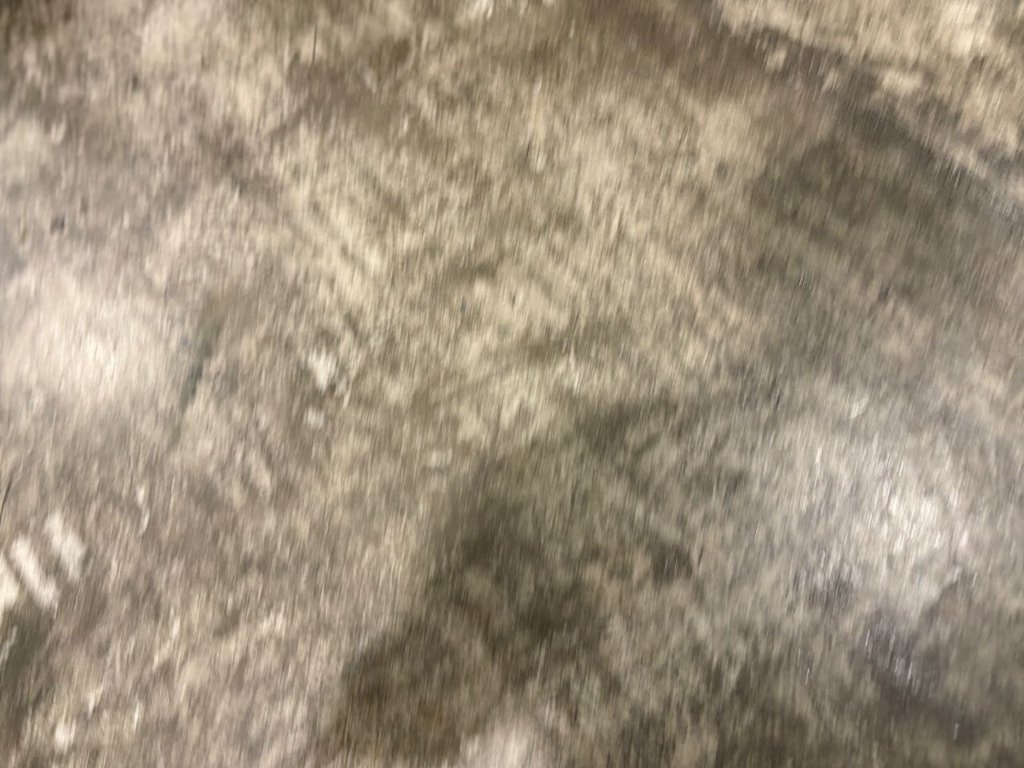 Used Audi RS Q8 2023 for sale - 77355752: Photo 46