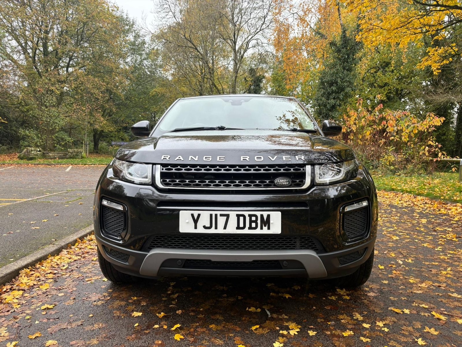 Used Land Rover Range Rover Evoque 2017 for sale - 76413886: Photo 11
