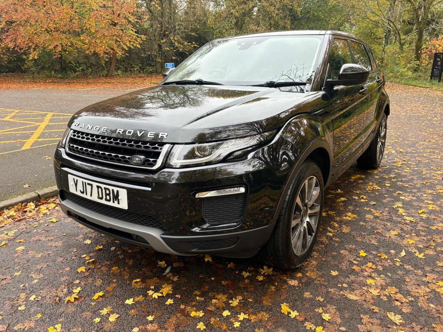 Used Land Rover Range Rover Evoque 2017 for sale - 76413886: Photo 6