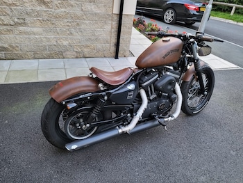 Used Harley-Davidson SPORTSTER IRON 2015 for sale - bike-78129518: Photo