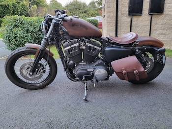 Used Harley-Davidson SPORTSTER IRON 2015 for sale - bike-78129518: Photo
