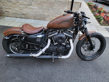 Used Harley-Davidson SPORTSTER IRON 2015 for sale - bike-78129518: Photo