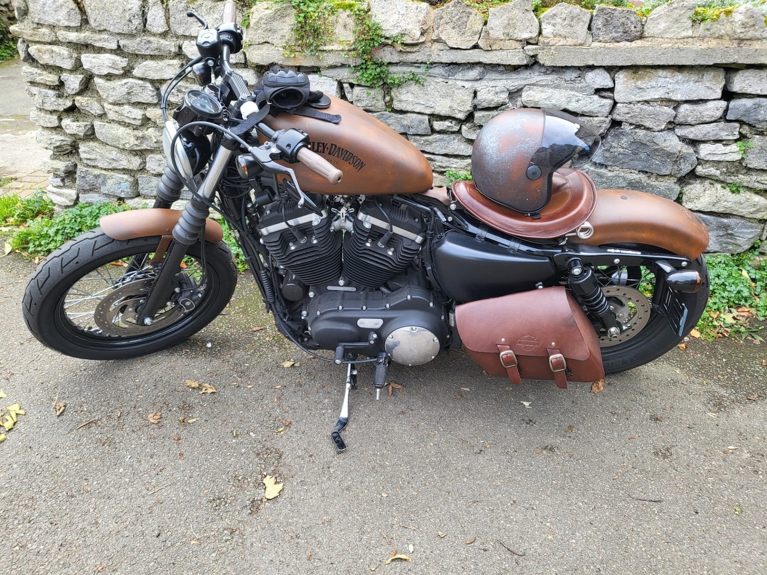 Harley-Davidson SPORTSTER IRON