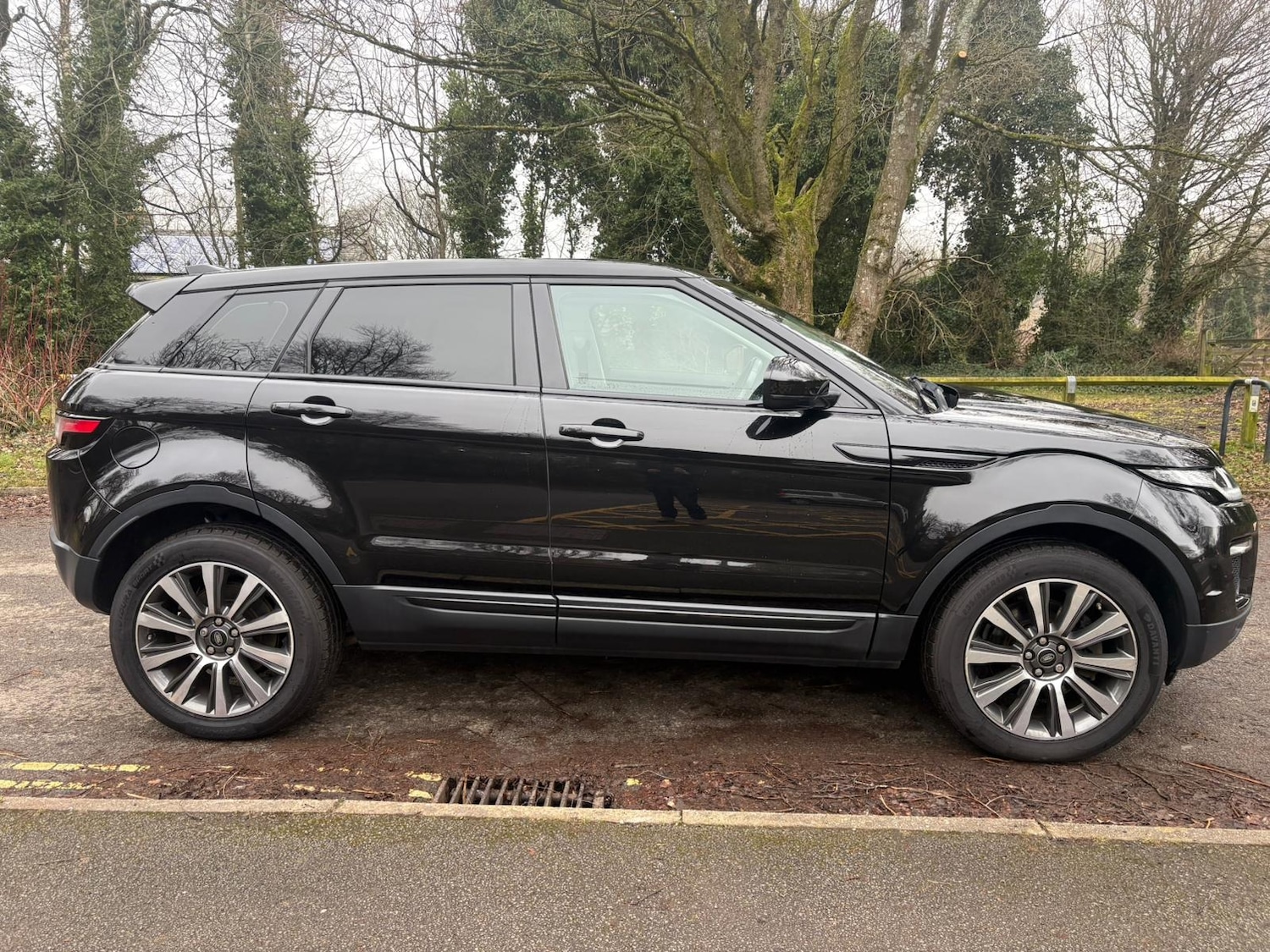 Used Land Rover Range Rover Evoque 2017 for sale - 77418629: Photo 5
