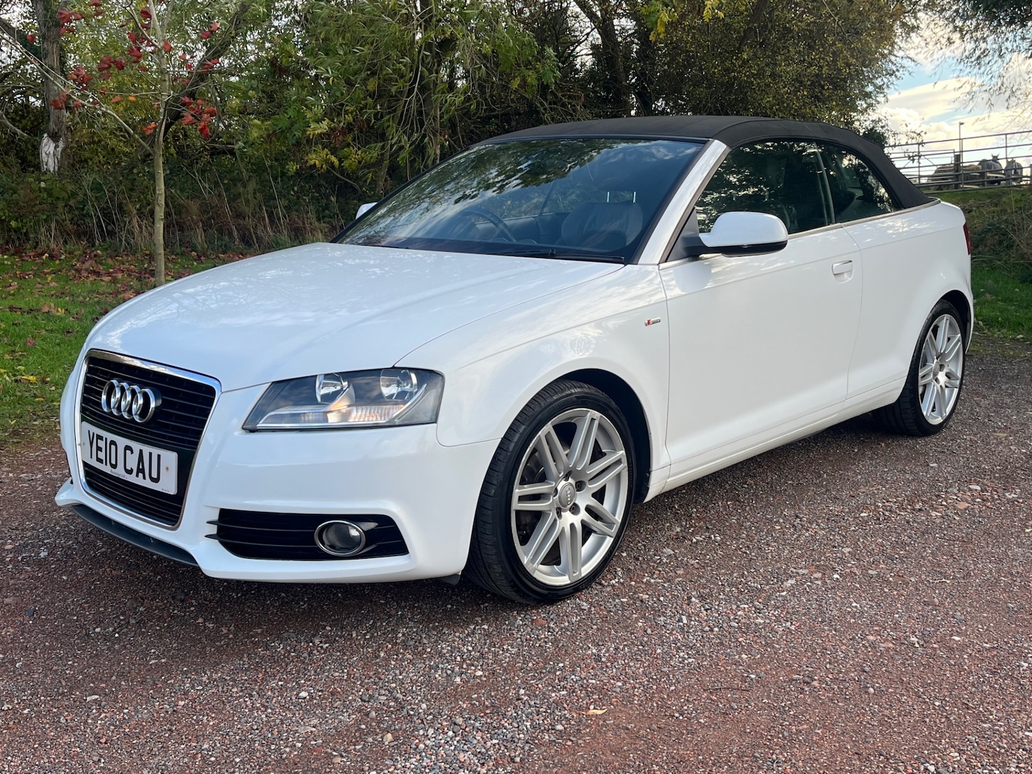 Used Audi A3 2010 for sale - 76541345: Photo 10
