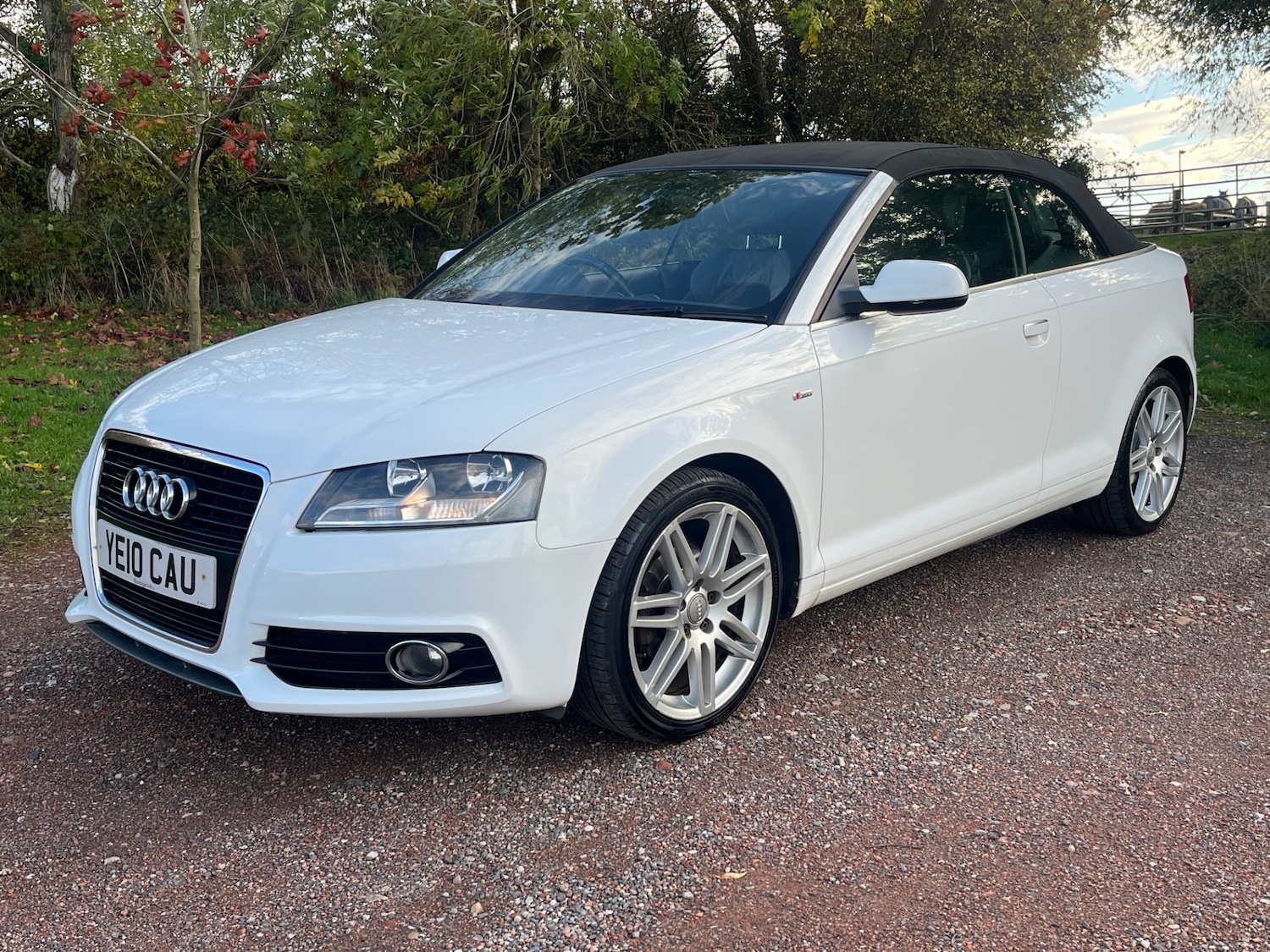 Used Audi A3 2010 for sale - 76541345: Photo 11