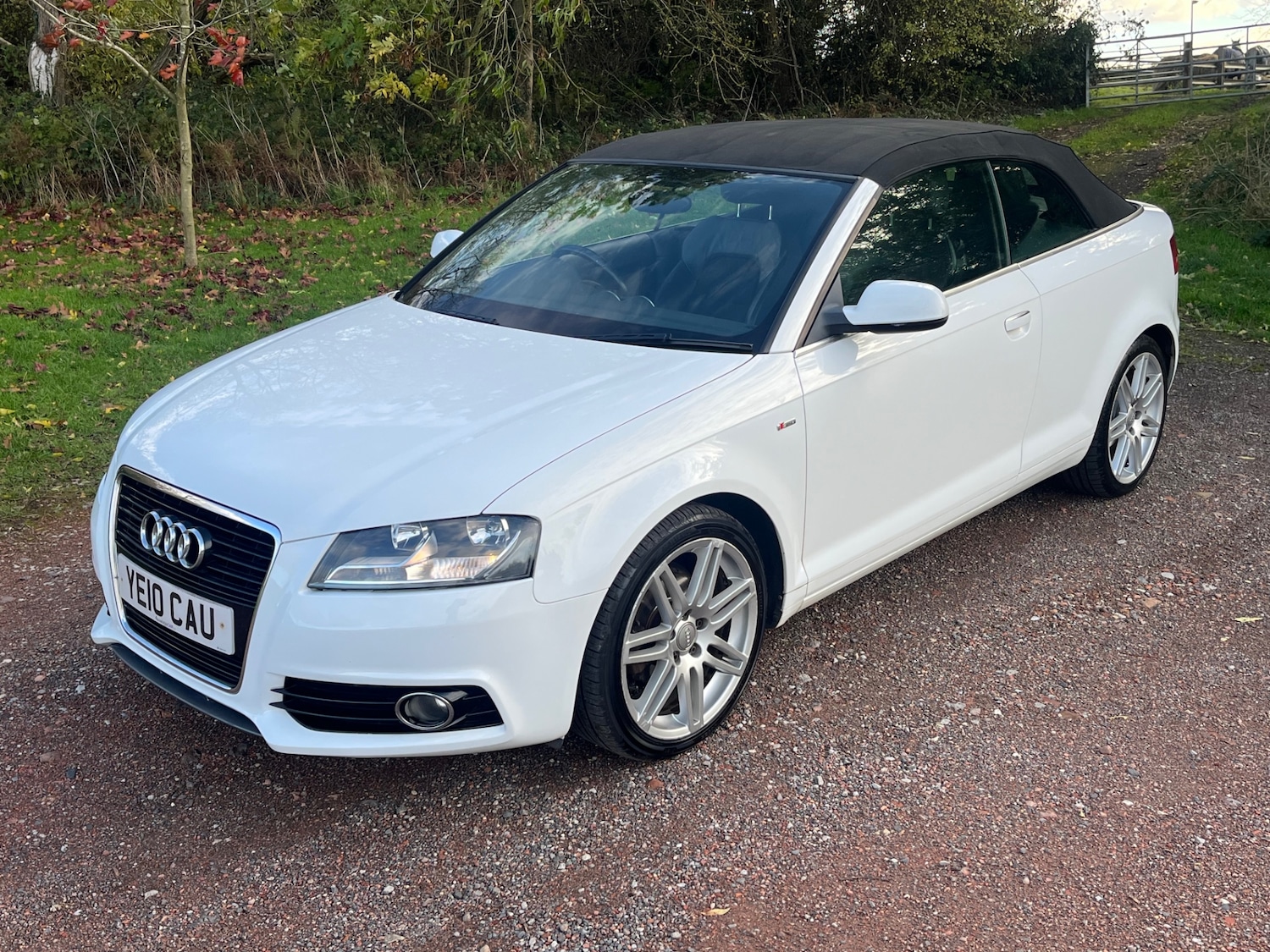 Used Audi A3 2010 for sale - 76541345: Photo 12