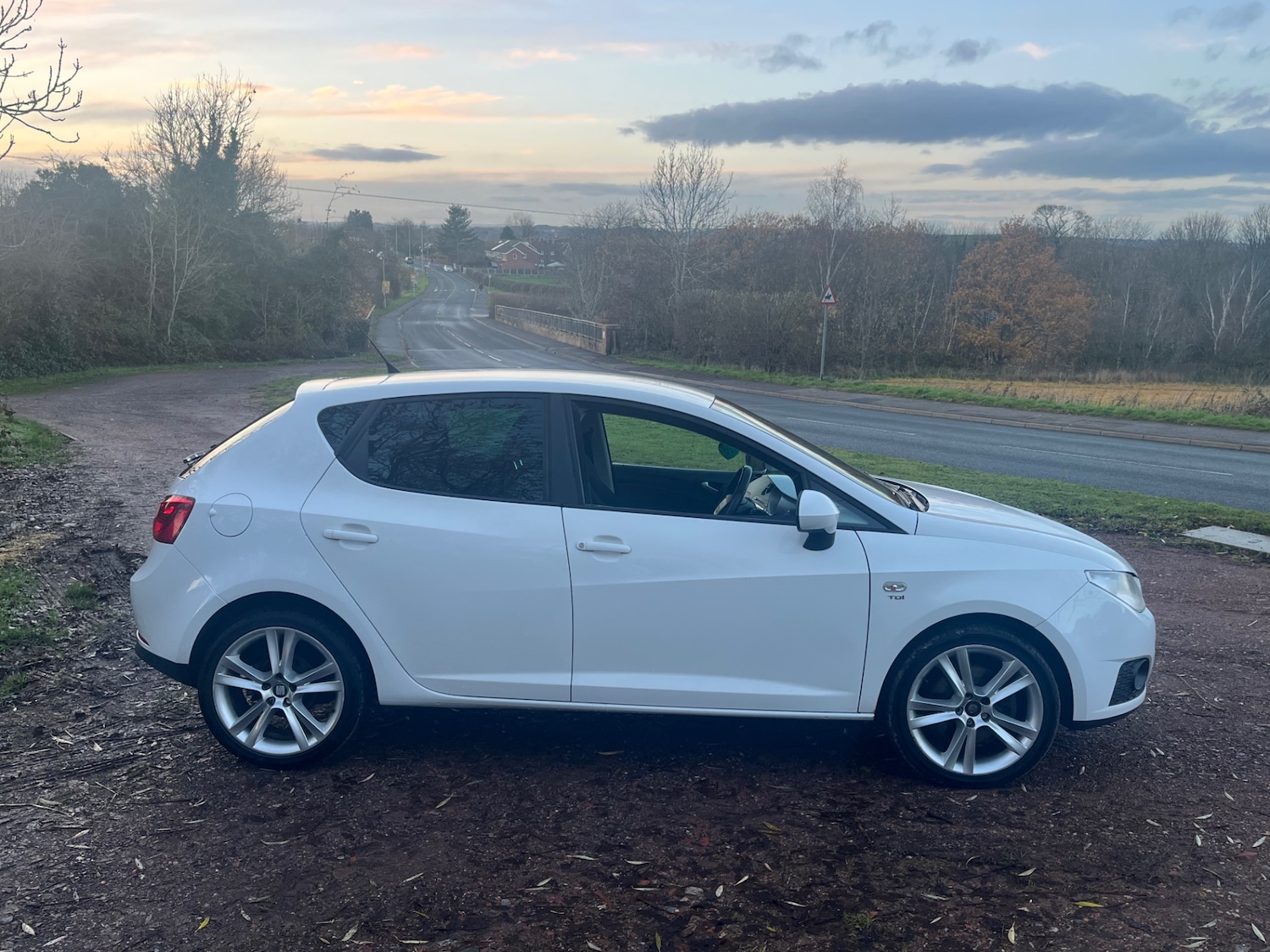 Used SEAT Ibiza 2010 for sale - 76778440: Photo 3