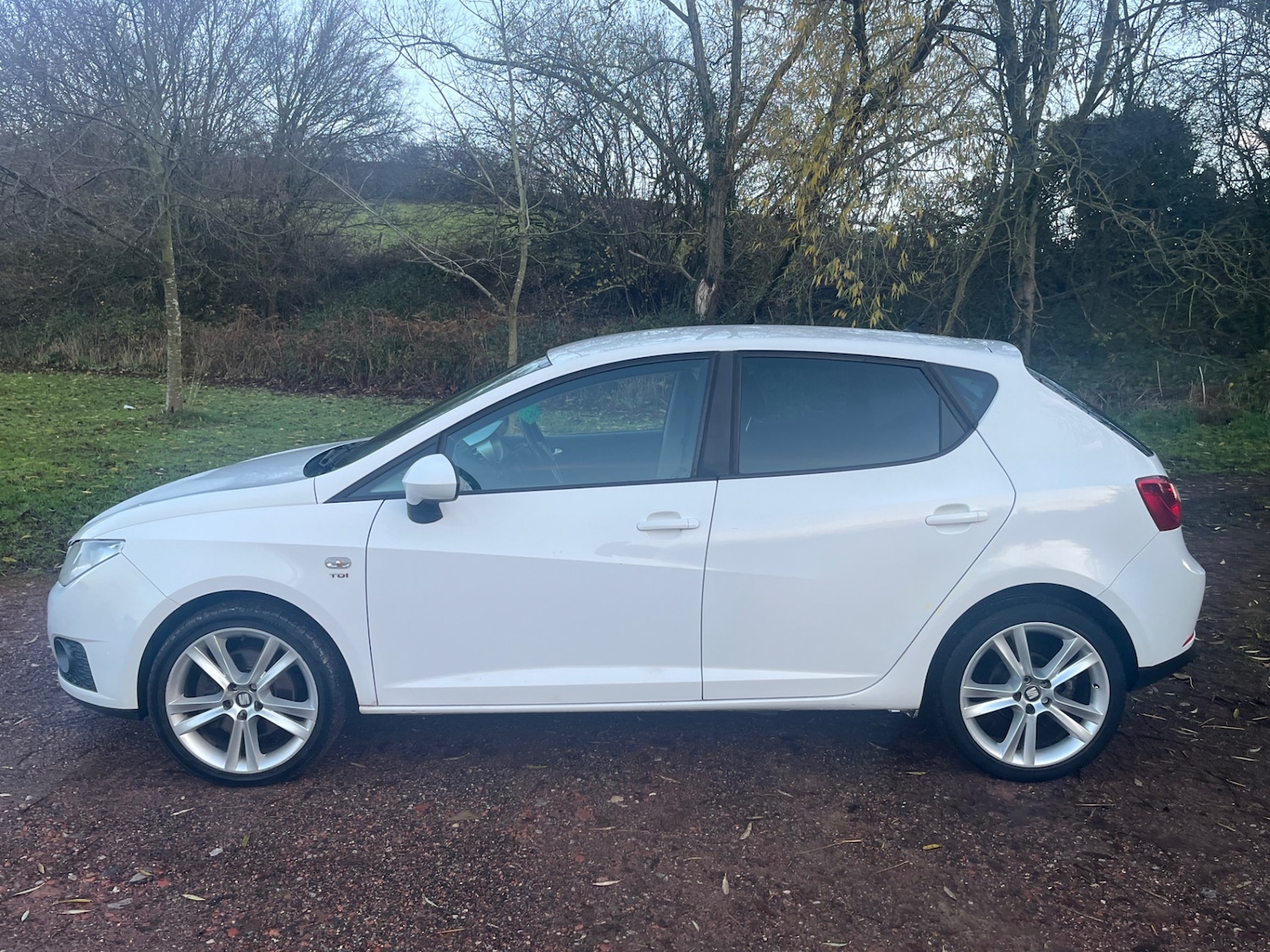 Used SEAT Ibiza 2010 for sale - 76778440: Photo 7