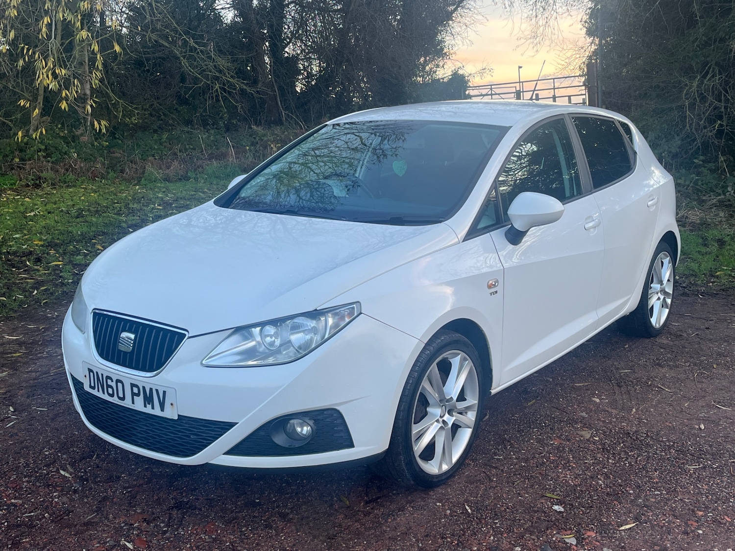 Used SEAT Ibiza 2010 for sale - 76778440: Photo 8