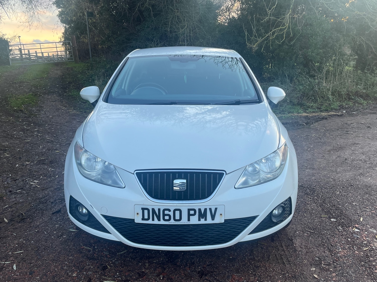 Used SEAT Ibiza 2010 for sale - 76778440: Photo 9