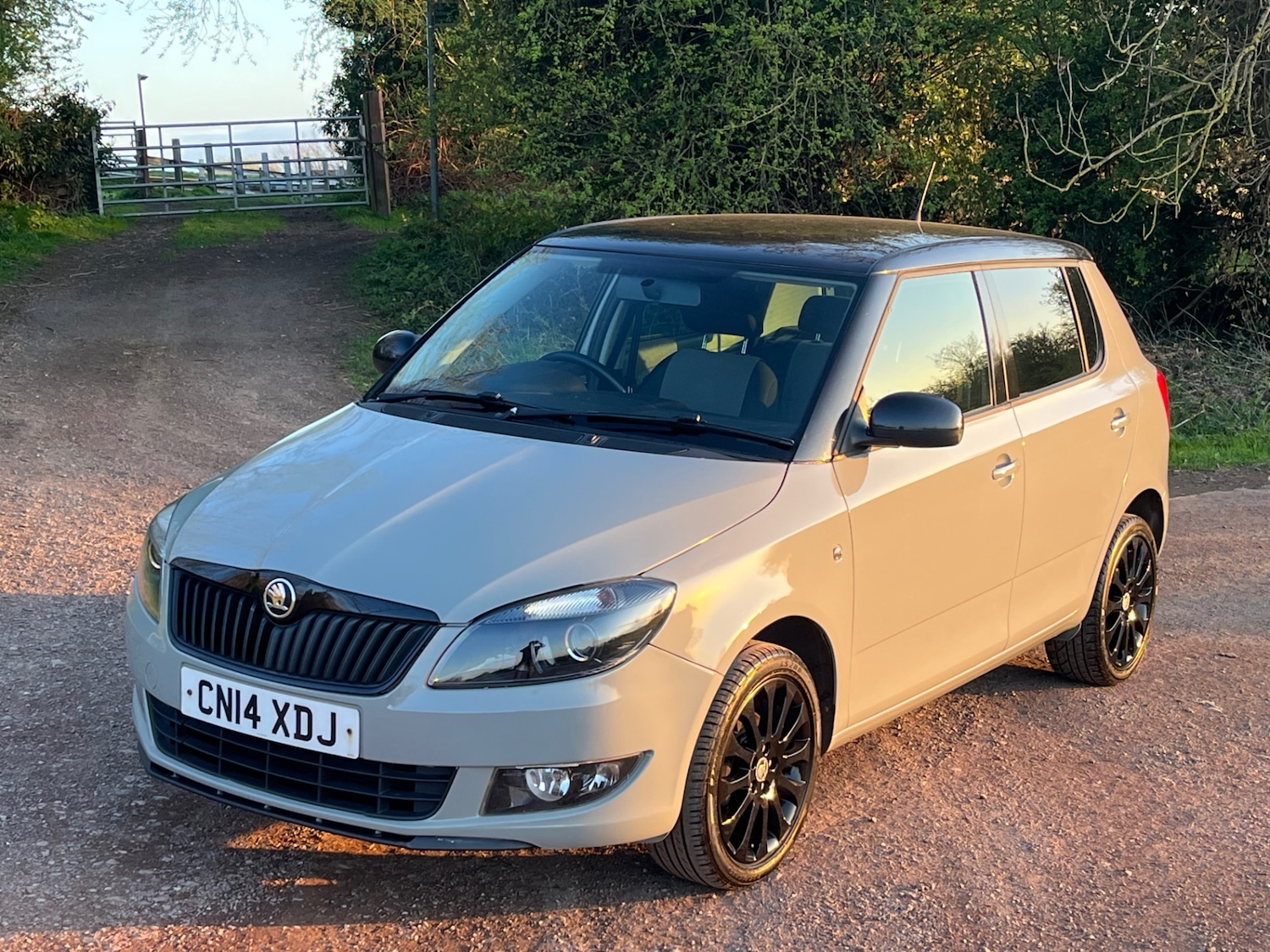 Used Skoda Fabia 2014 for sale - 78180728: Photo 10