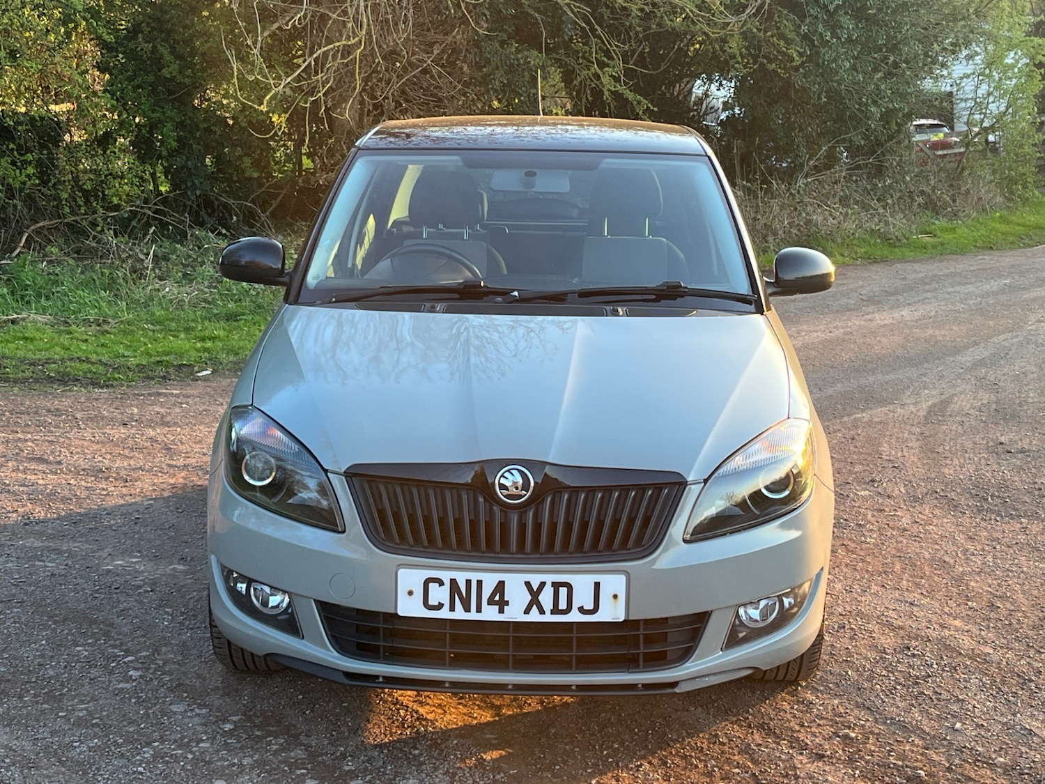 Used Skoda Fabia 2014 for sale - 78180728: Photo 12