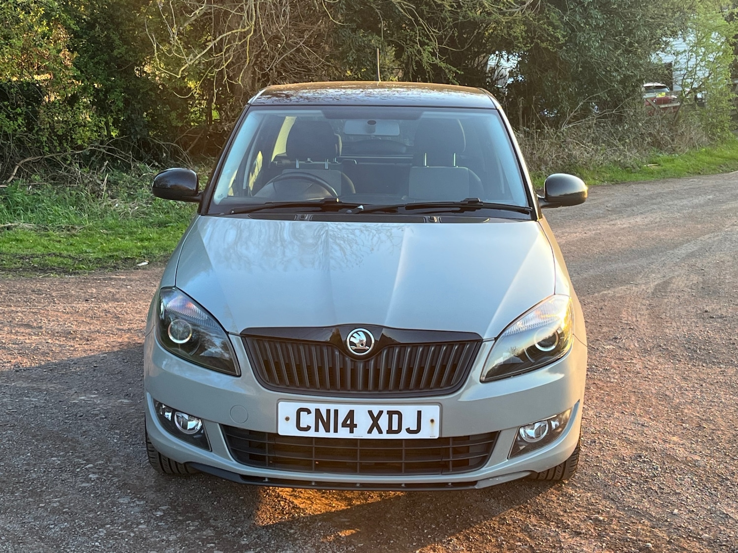 Used Skoda Fabia 2014 for sale - 78180728: Photo 13