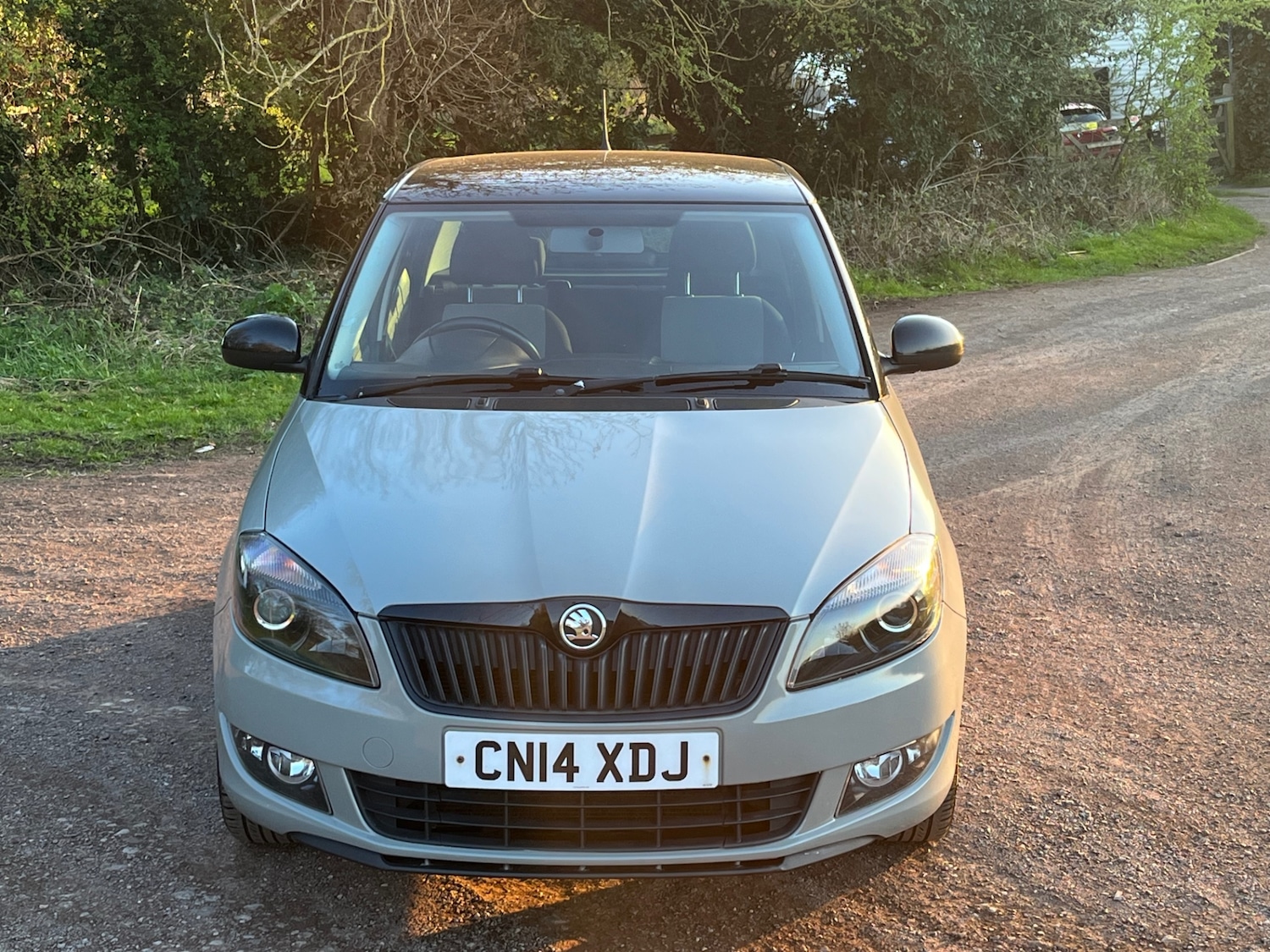 Used Skoda Fabia 2014 for sale - 78180728: Photo 14