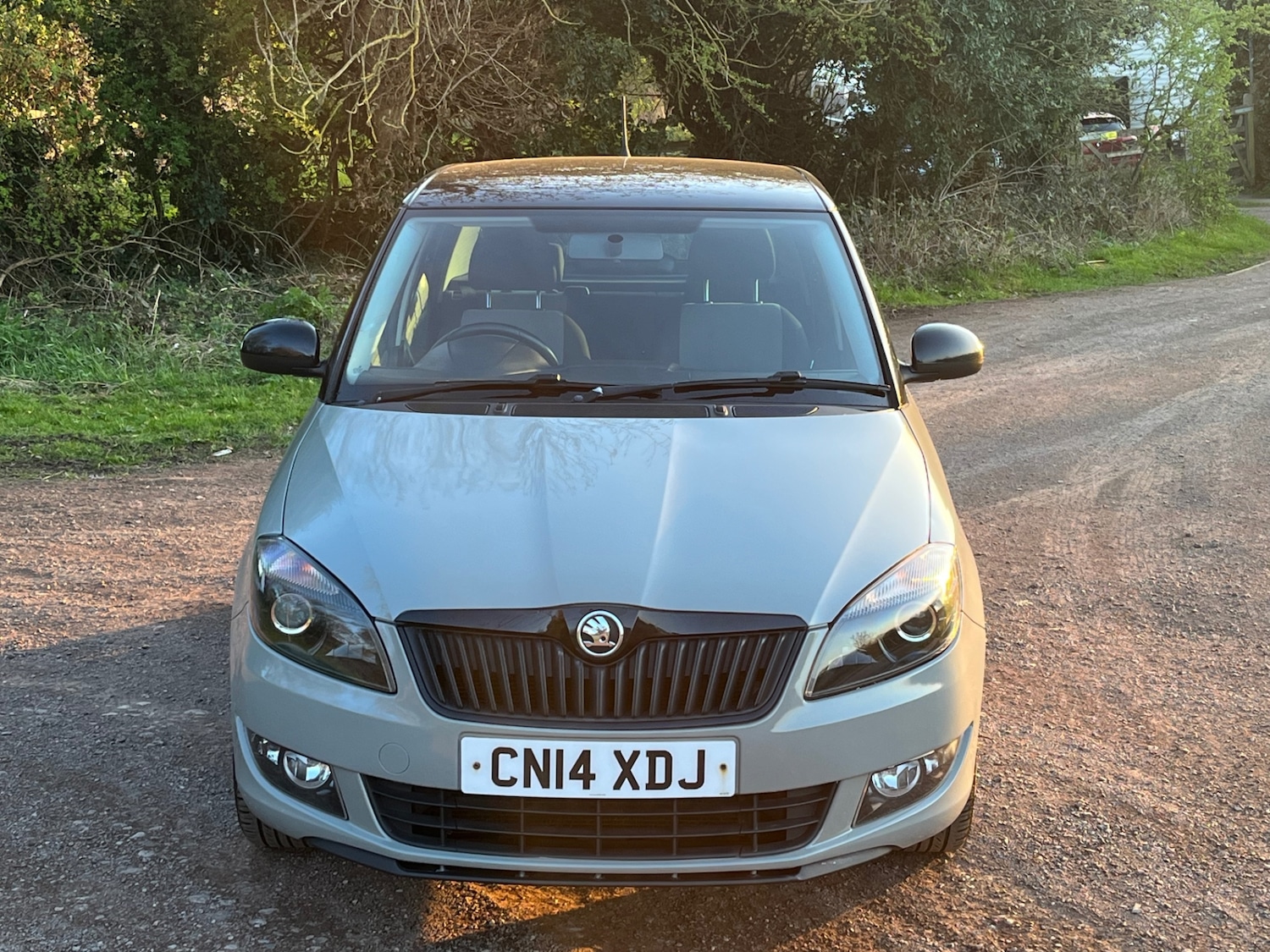 Used Skoda Fabia 2014 for sale - 78180728: Photo 15
