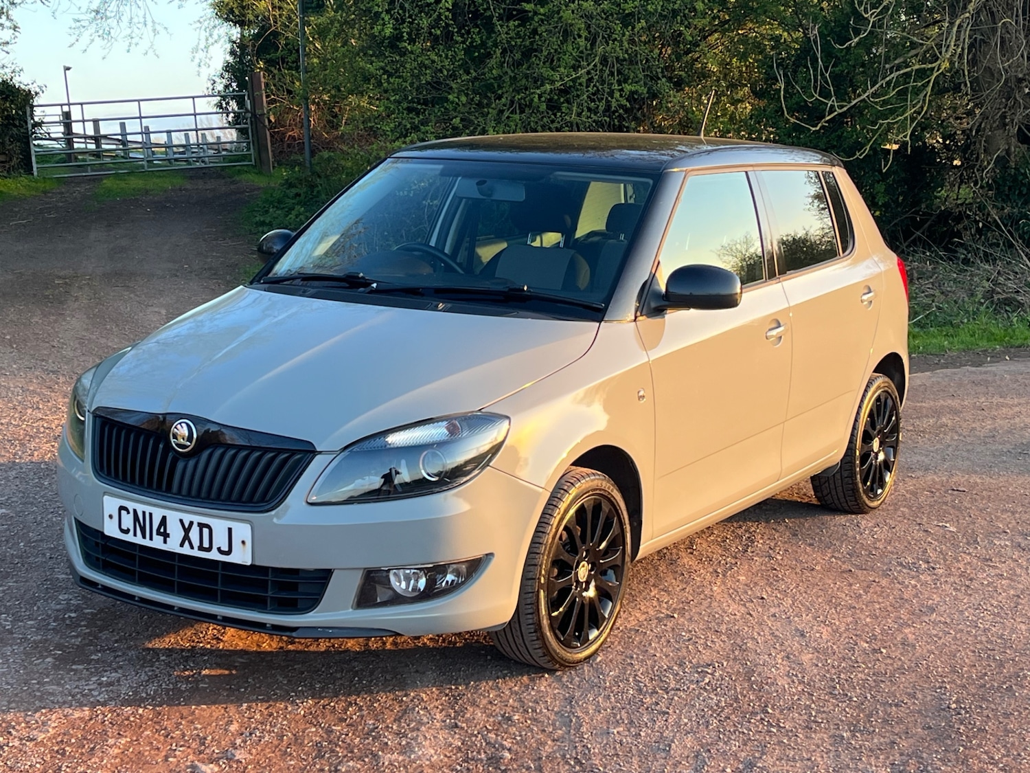 Used Skoda Fabia 2014 for sale - 78180728: Photo 9