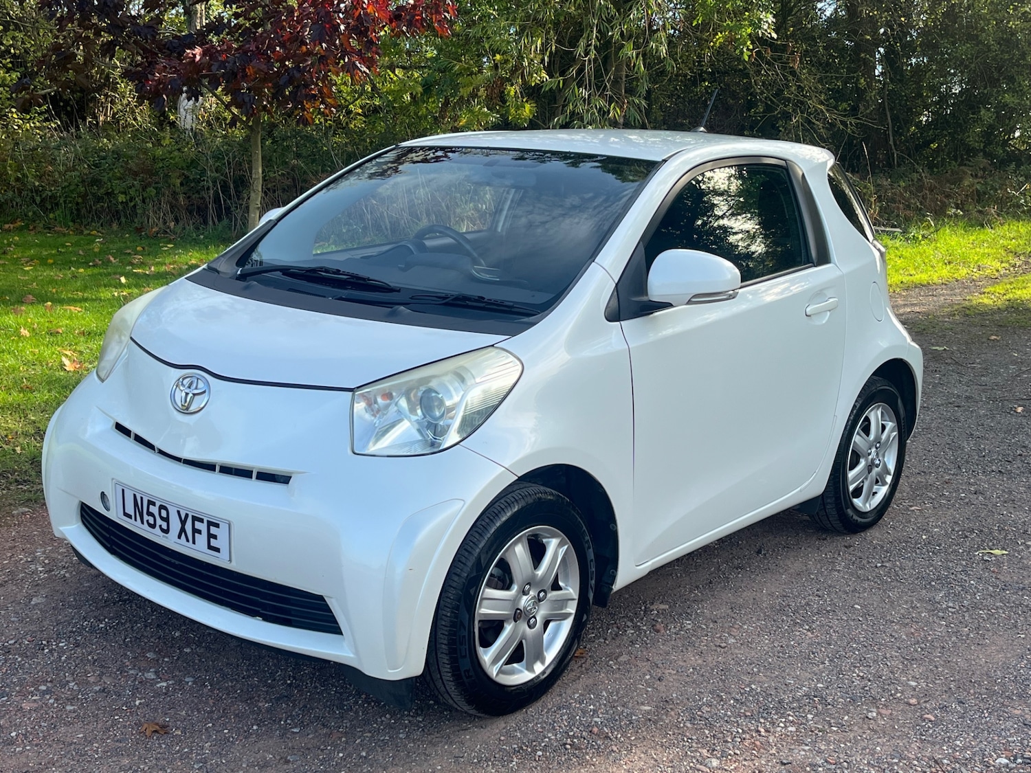Used Toyota IQ 2009 for sale - 76243917: Photo 11