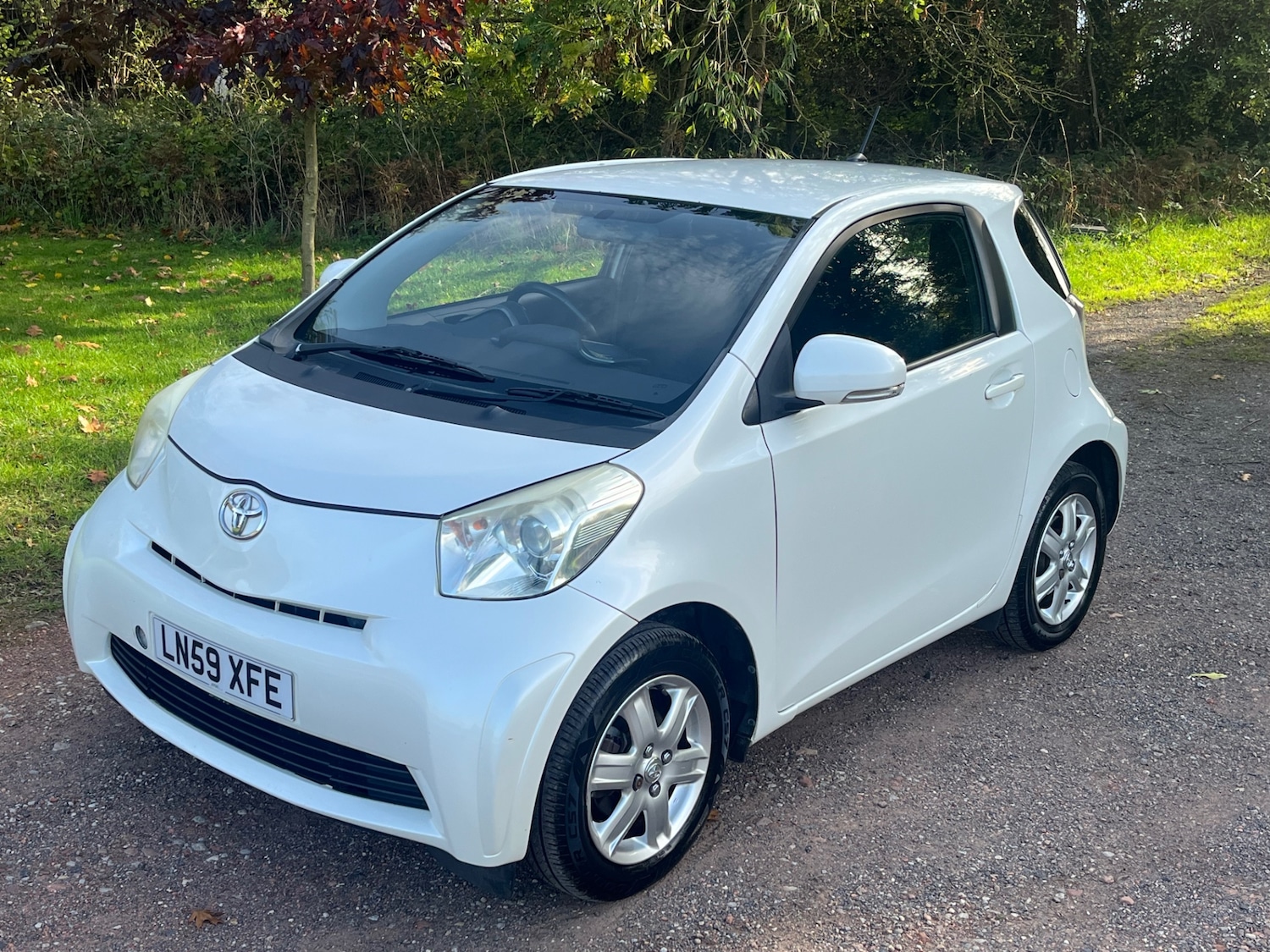 Used Toyota IQ 2009 for sale - 76243917: Photo 12