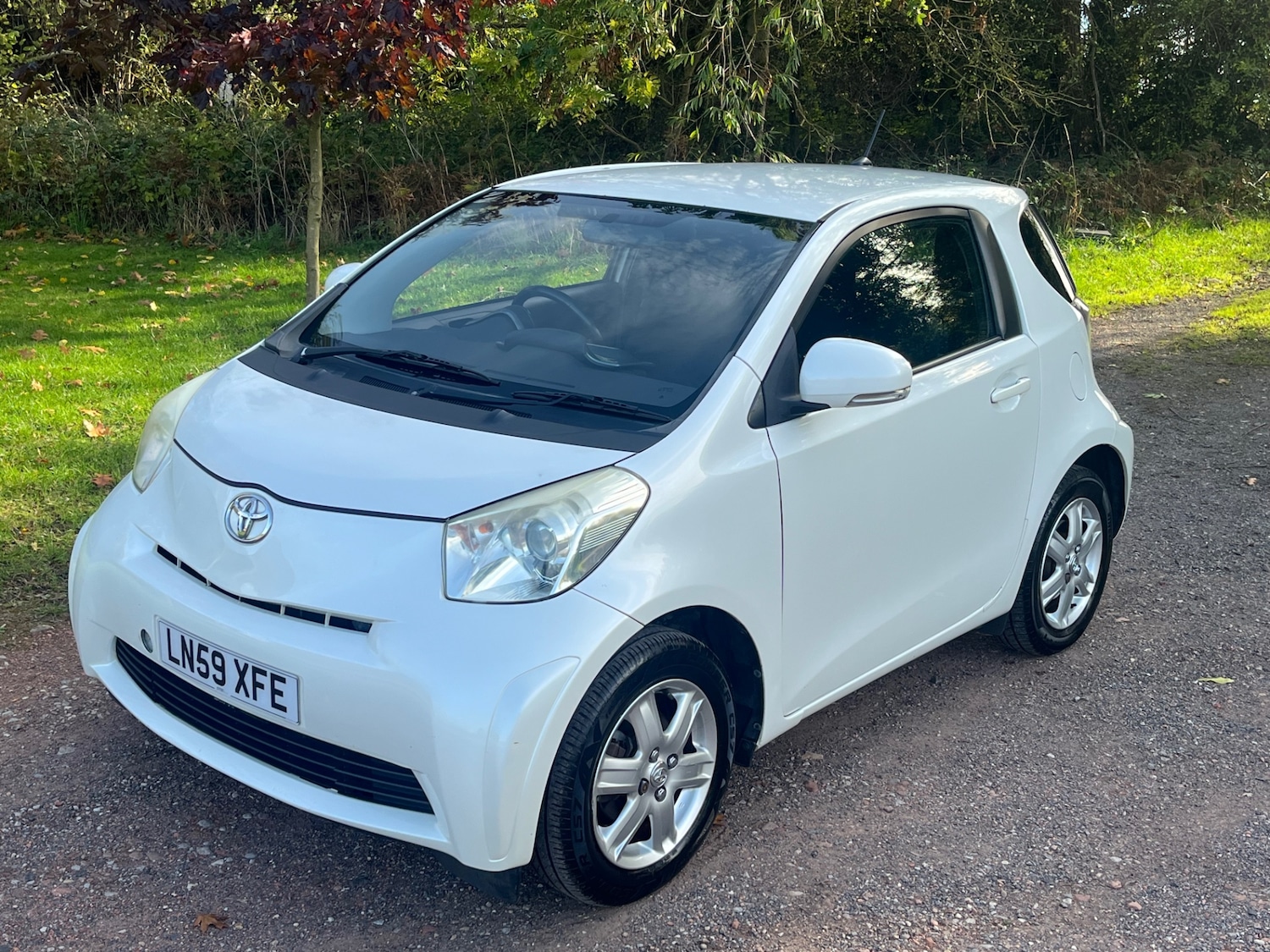 Used Toyota IQ 2009 for sale - 76243917: Photo 13