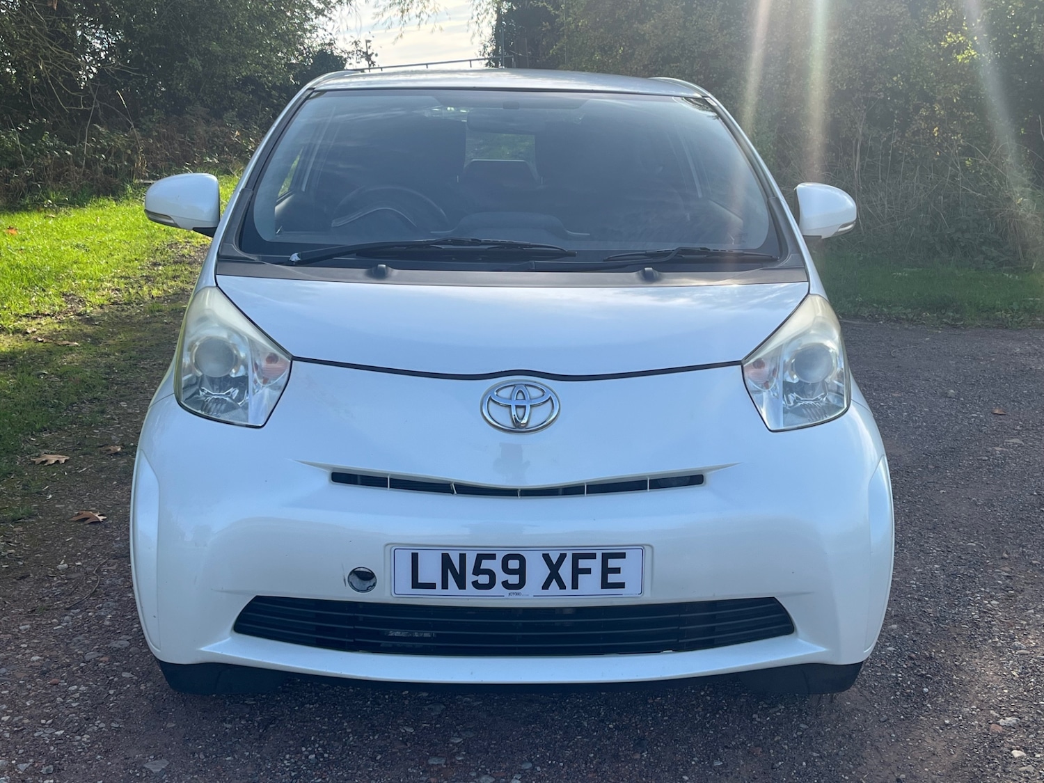 Used Toyota IQ 2009 for sale - 76243917: Photo 14